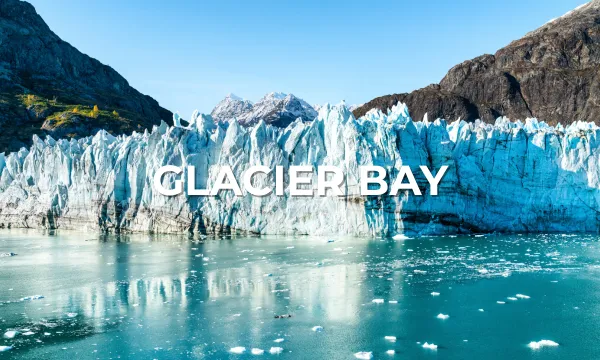 Alaska Cruises visit Glacier Bay - book with Luxury Sassy Cruises today