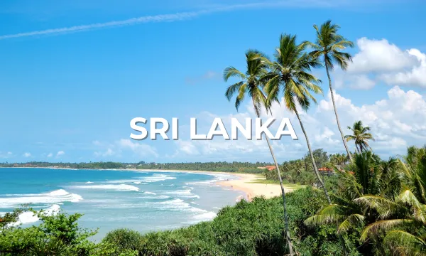 Idyllic tropical beach in Sri Lanka with palm trees, gentle waves, and a bright blue sky.
