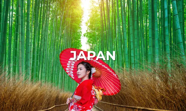 Japanese woman in a traditional kimono with a red parasol standing in a bamboo forest, sunlight streaming through the trees.
