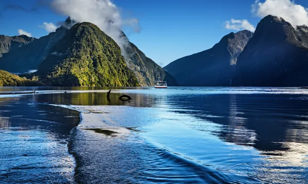 Cruise ship sailing through Milford Sound’s dramatic fjords under blue skies -Luxury Sassy Cruises