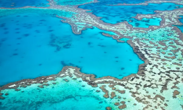 Aerial view of Australia’s Great Barrier Reef, showcasing vibrant turquoise waters and intricate coral formations.