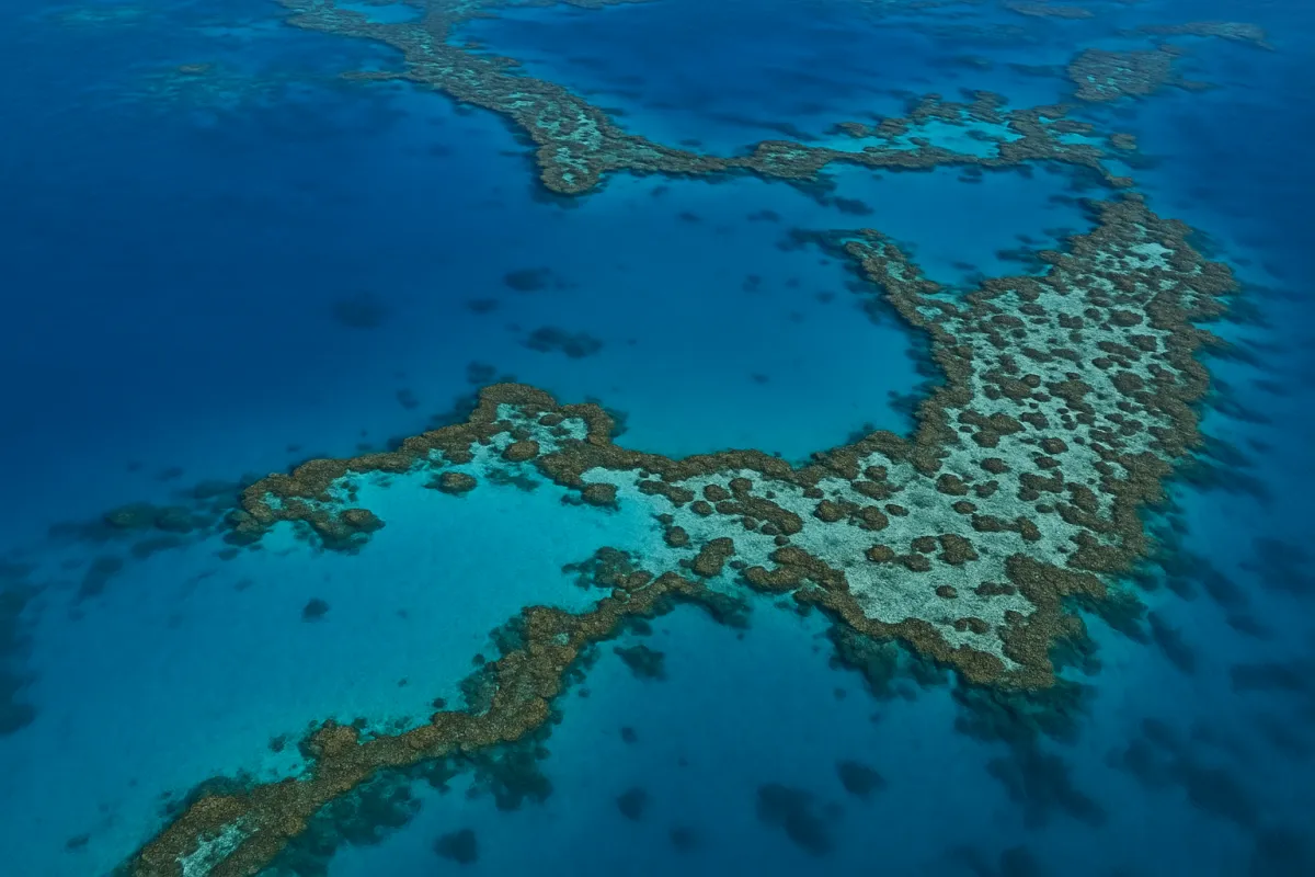 A high-resolution aerial photo of a vibrant Caribbean coral reef surrounded by crystal-clear turquoise water, showcasing the intricate reef structure and rich marine life below the surface.