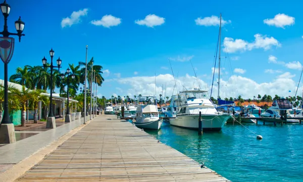 Luxury yachts docked at a vibrant Caribbean marina with turquoise water, palm trees, and a sunny blue sky - perfect for an upscale island adventure. Luxury Sassy Cruises