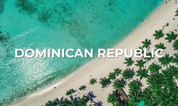 Aerial view of turquoise shoreline and palm trees on a sunny beach in the Dominican Republic.
