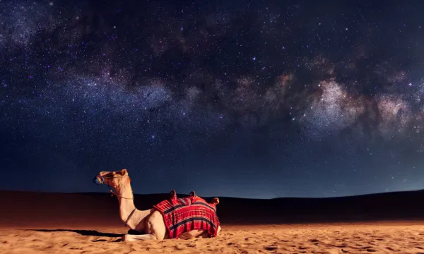 Enjoy a private 4x4 adventure through endless dunes followed by a starlit Bedouin dinner - pure magic.
