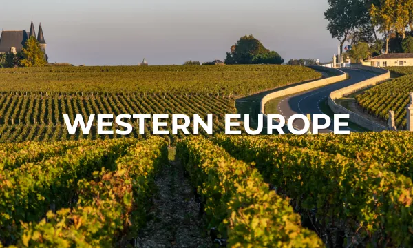 A scenic vineyard stretches across rolling green hills with a winding road leading to a charming chateau in Western Europe, bathed in soft morning light. 