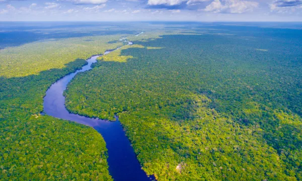 Aerial view of the Amazon River winding through an endless expanse of lush, green rainforest beneath a bright blue sky dotted with clouds.