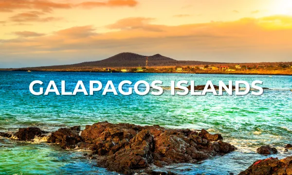 Rocky shoreline of the Galápagos Islands with clear turquoise water lapping against dark volcanic rocks, low hills on the horizon and a warm, golden sunset sky.
