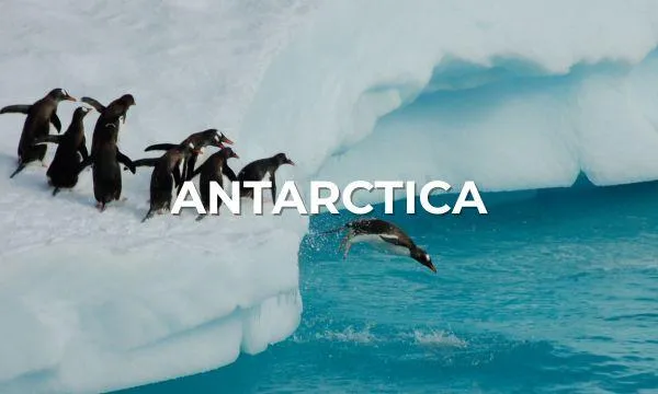 penguins on icy cliff in antarctica with azamara expedition cruise in the background