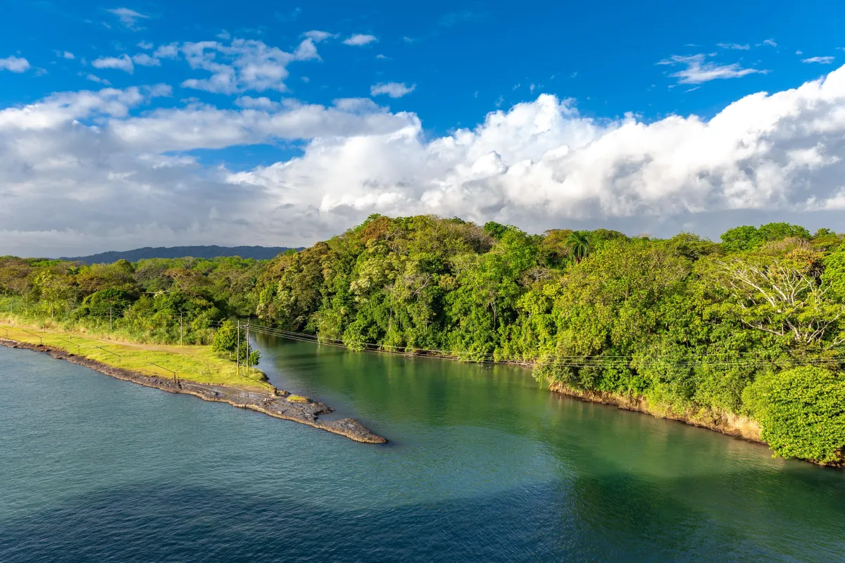 A winding river surrounded by lush green jungle under a bright sky, viewed from above.