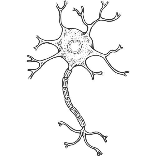 tree of life