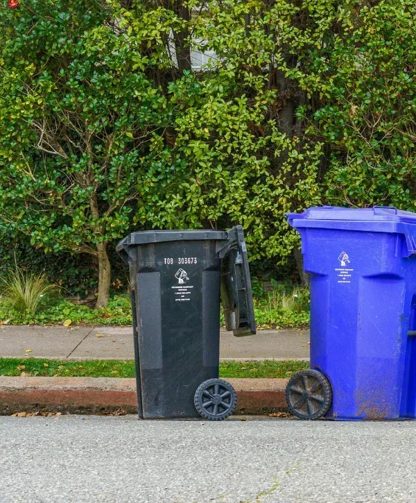 A black garbage bin with an open lid next to a blue recycling bin, both on a curb against a leafy green hedge.