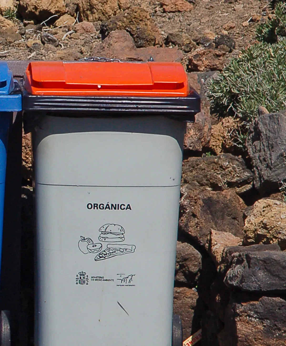 A gray organic waste bin with an orange lid, featuring 'ORGÁNICA' text and food illustrations against a rocky background.