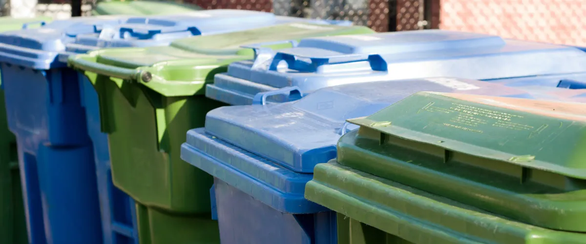 A line of alternating blue and green recycling bins under bright sunlight, with some partially out of focus.
