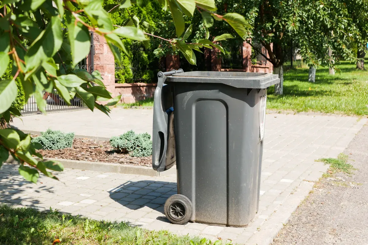 What Should You Look for in a Trash Can Cleaning Service?