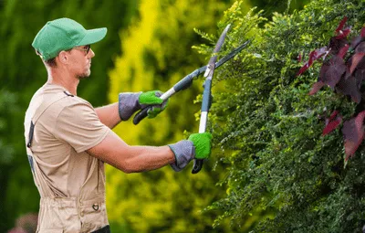 Landscapers