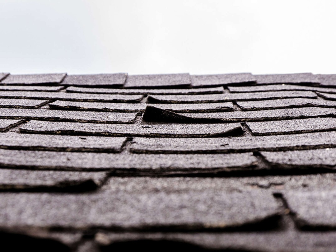 the roof of a house with a bird perched on top of it