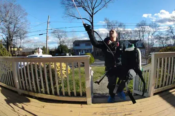 Roach Control in Long Island, NY