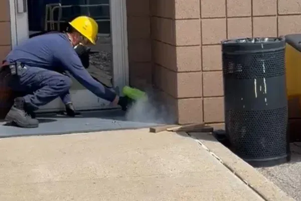 Roach Control in Long Island, NY