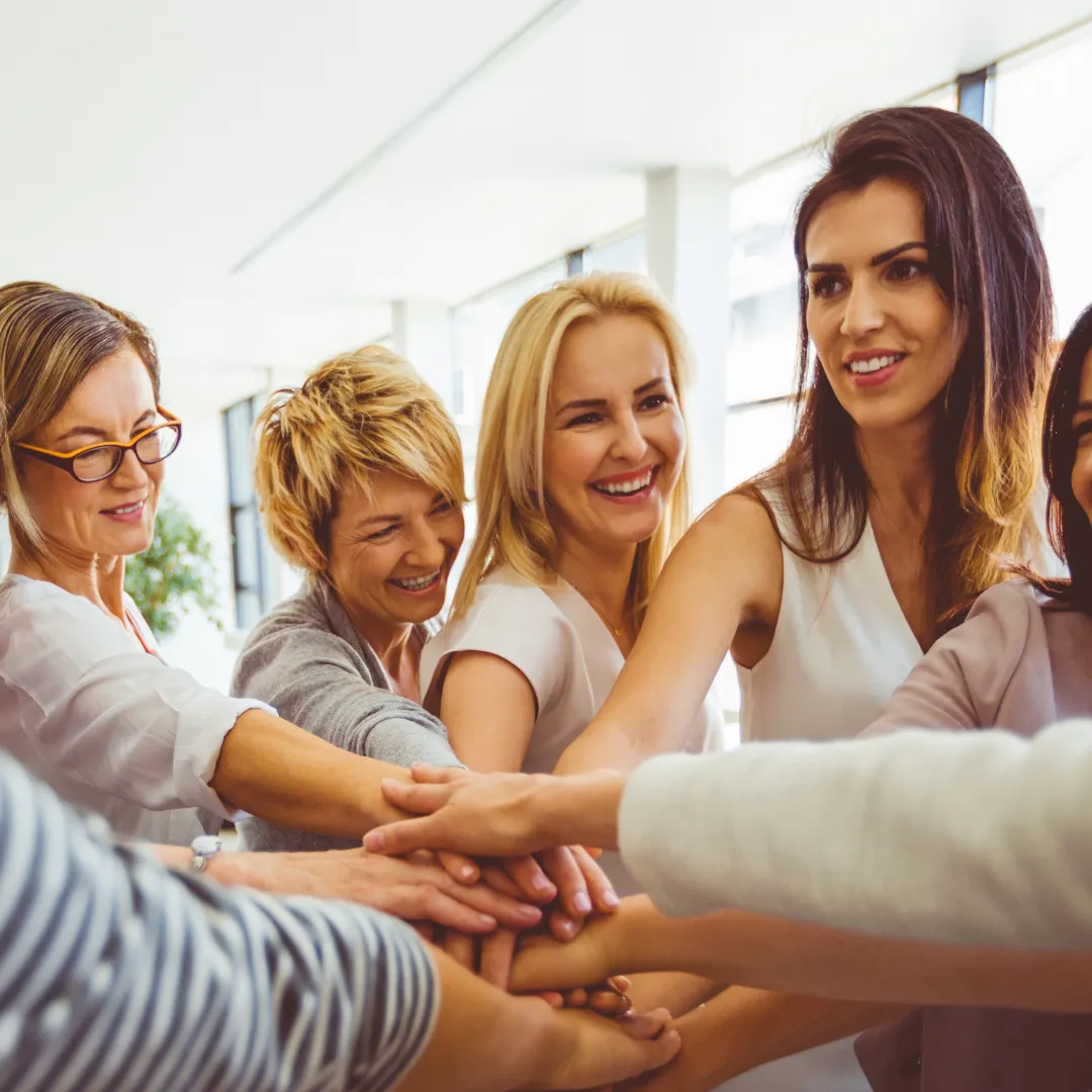 a close up of a small green plant in dirt