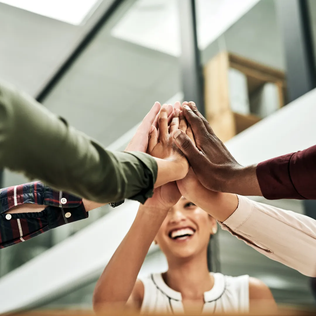 green palm tree on brown rock in the middle of the sea