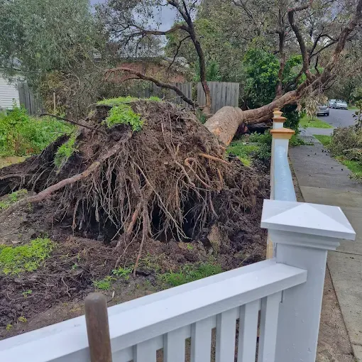 In-Ground Pool Removal