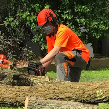 Residential home demolition
