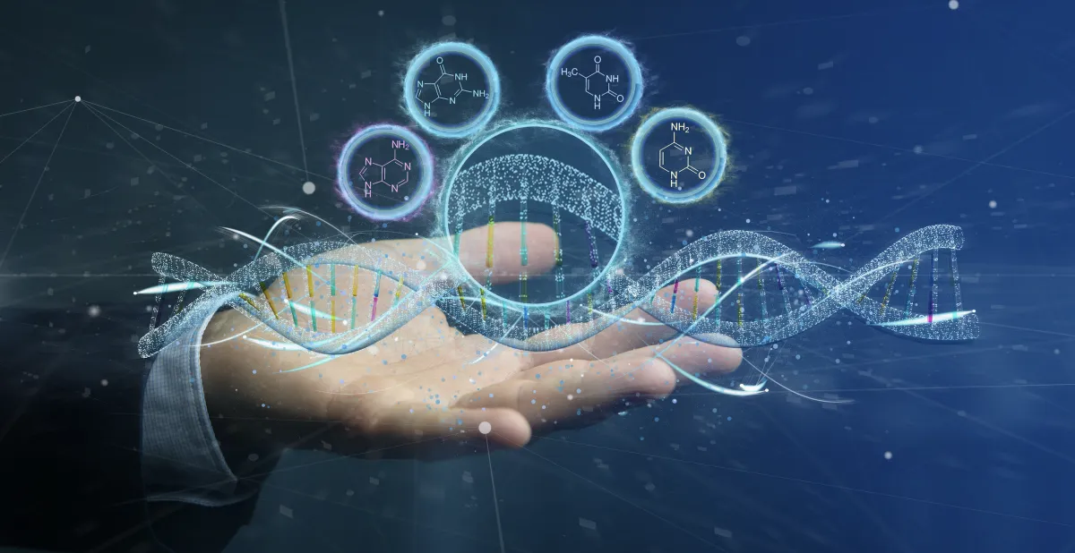 Metabolic precision and personalisation visual