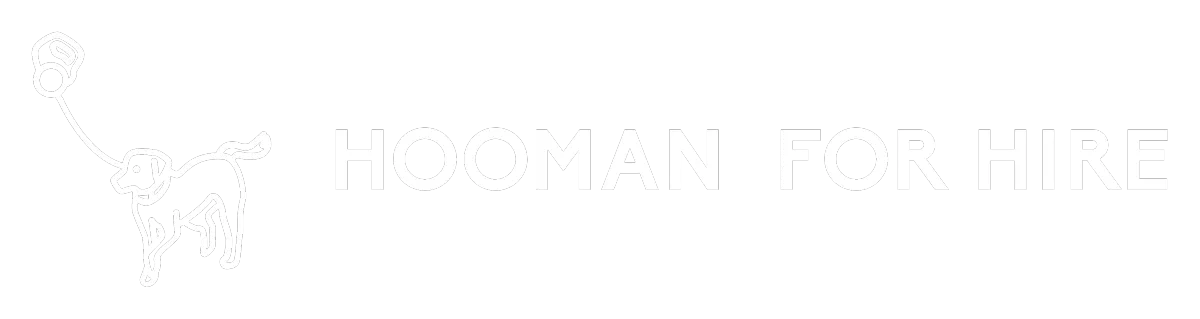 Professional Pet Sitting  Home Visits