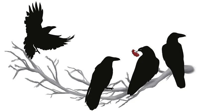 Ravenwood Veterinary Clinic Logo