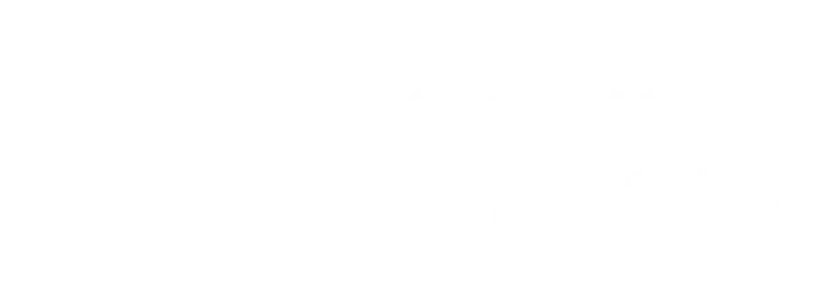 Linkserve Solutions Logo