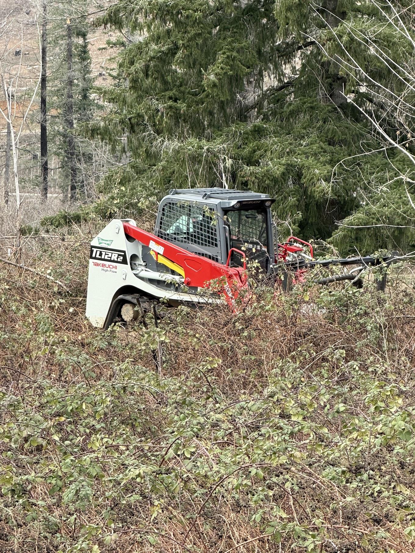 Land Clearing in Salem & the Willamette Valley: A Landowner's Guide