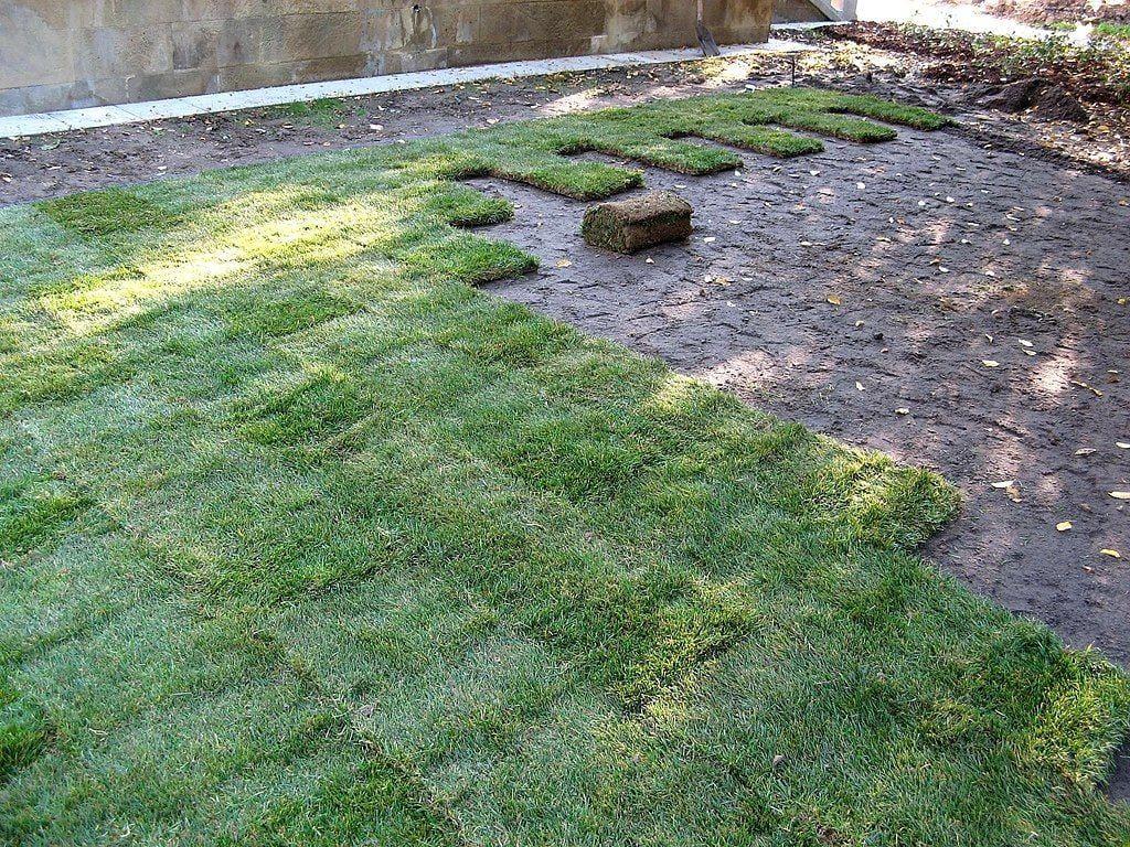 Sod Installation in Magnolia,TX & Tomball,TX