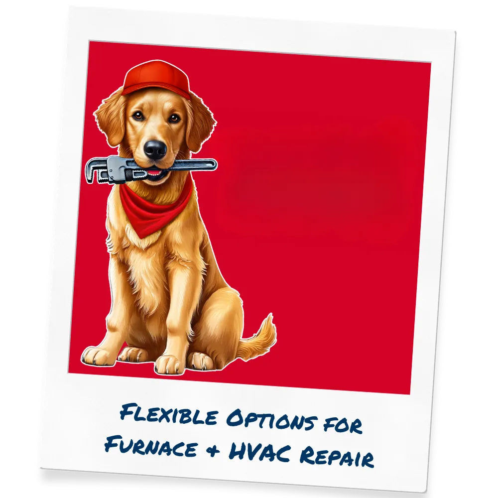 Plumbing tune-up promotion featuring a cartoon golden retriever with a wrench, highlighting a special offer of $68 for a tune-up plus free chemical cleaning, labeled as "Lucky Dog Special."