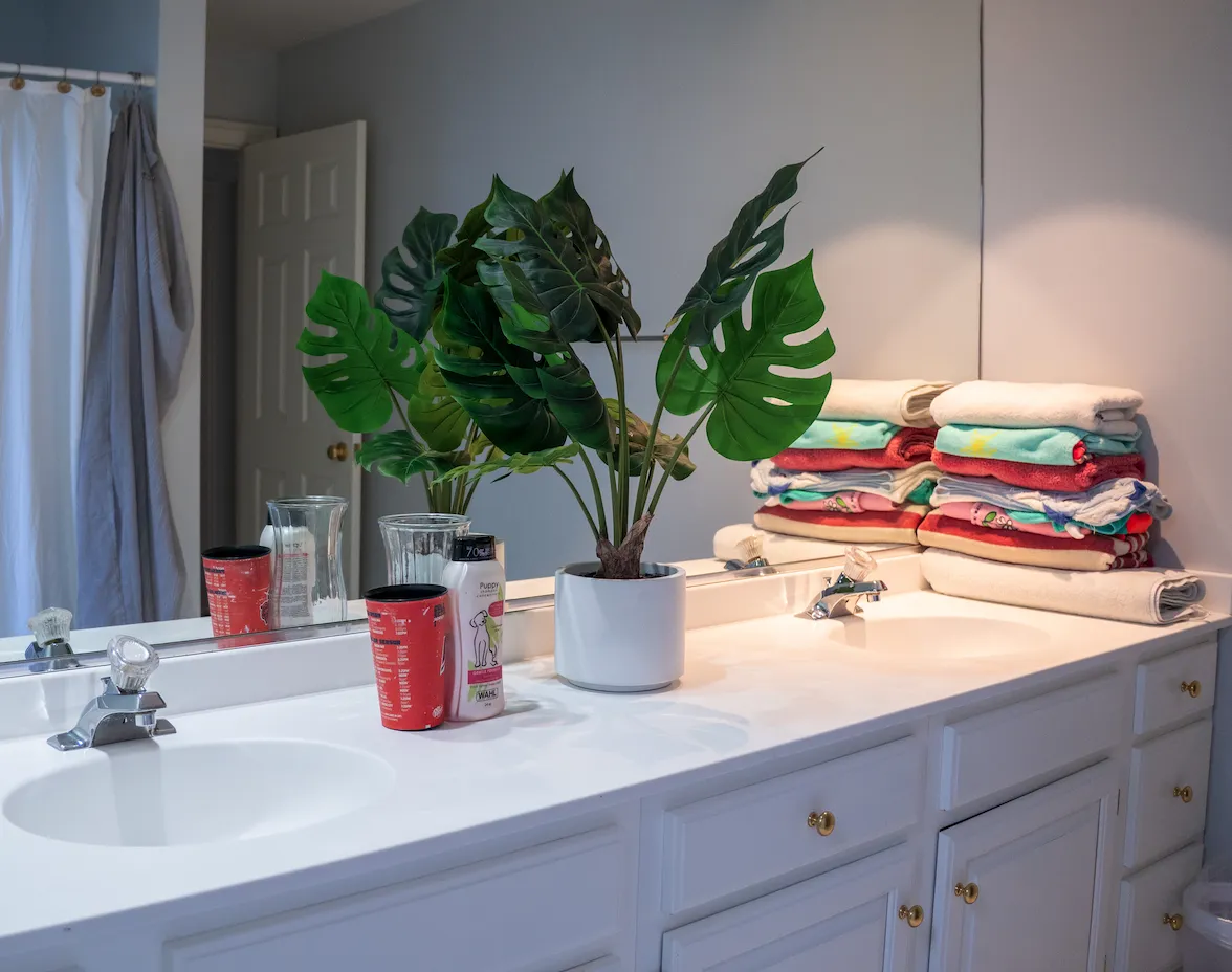  Regular House Cleaning Services