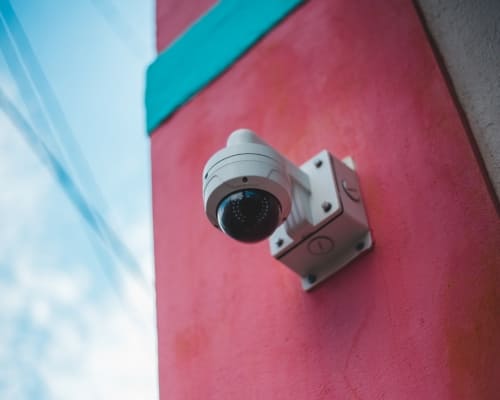 Lalor Security Cameras