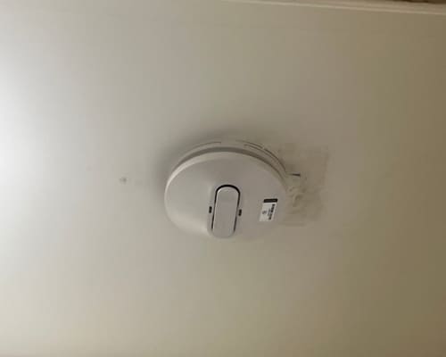 Rewiring Lalor