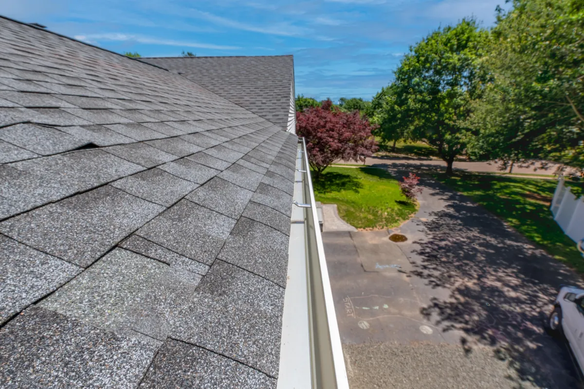 Pressure Washing Roof Cleaning