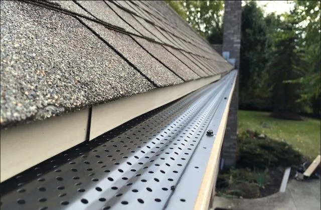 Gutter Guard