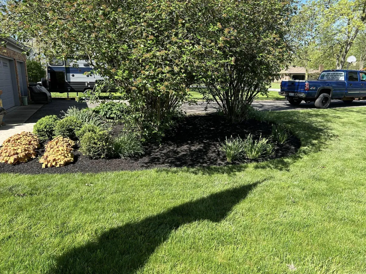 Hedge Trimming