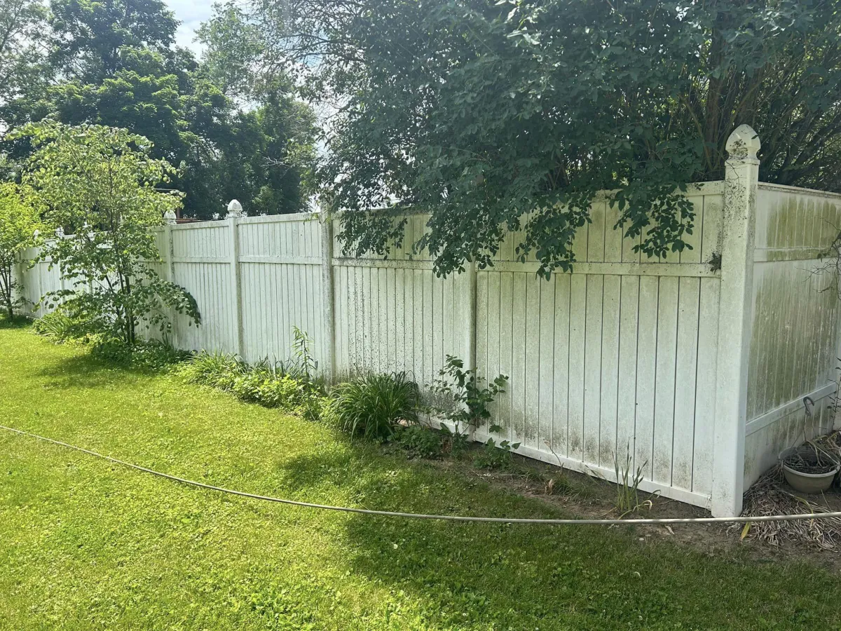 Fence Cleaning Before