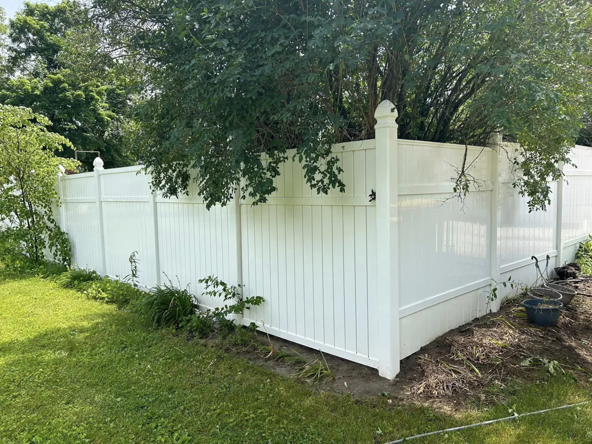 Fence Cleaning After