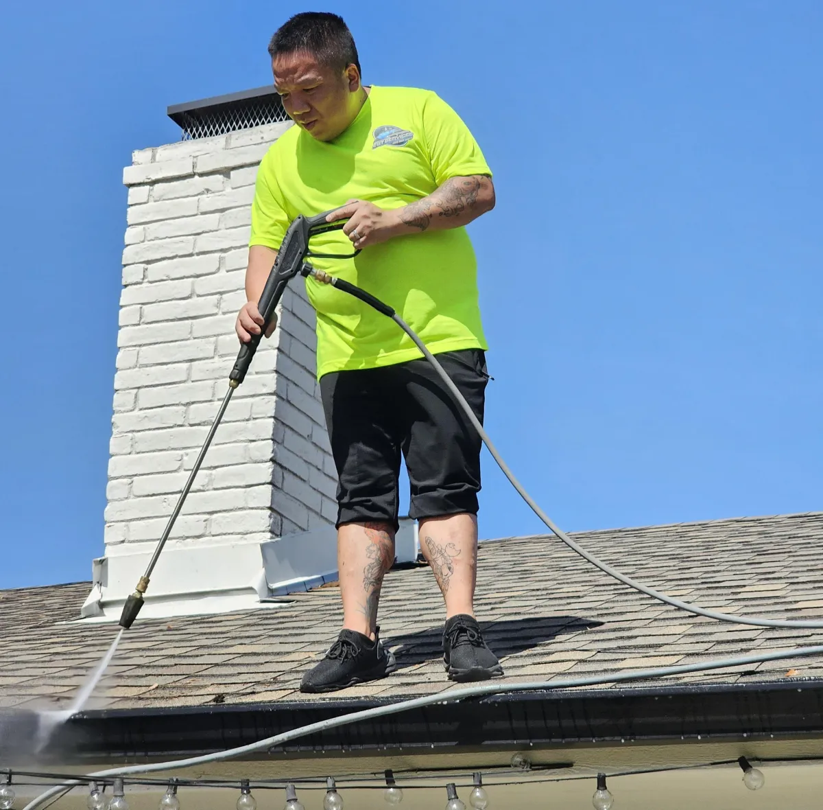 PROFESSIONAL GUTTER CLEANING