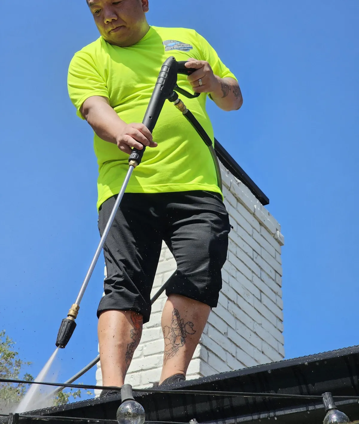 PROFESSIONAL GUTTER CLEANING