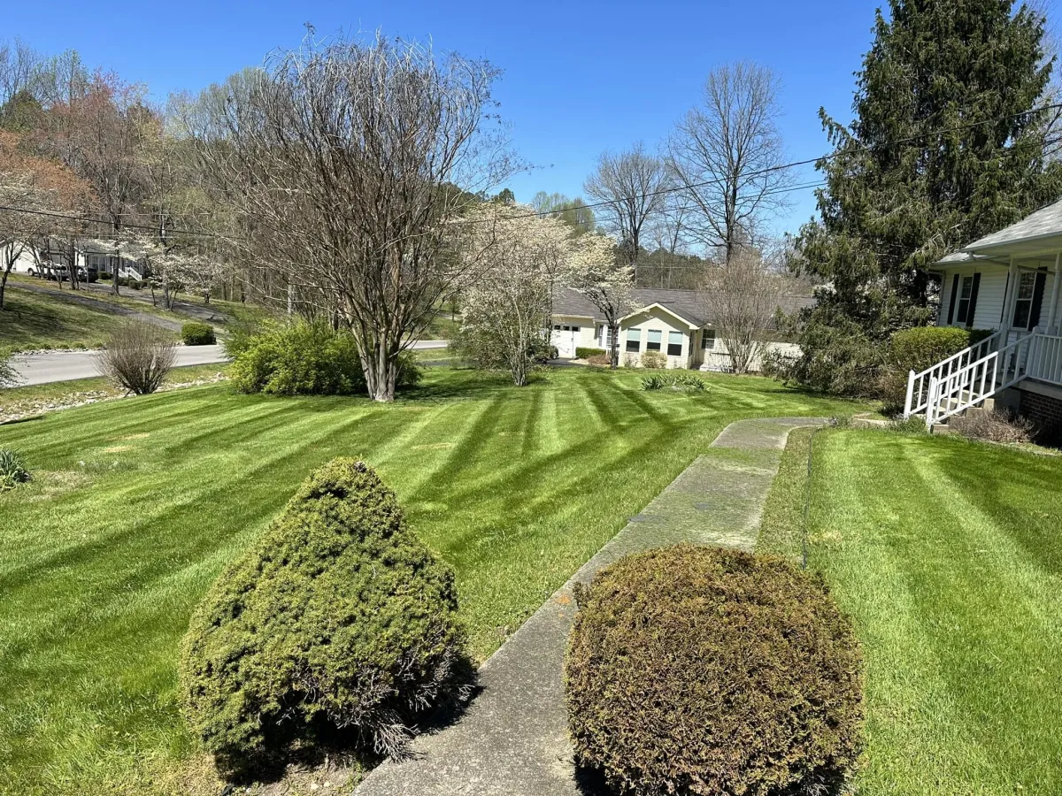 Lawn Care & Maintenance