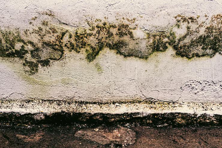 A chalky, white efflorescence film on block walls means moisture is wicking through the masonry