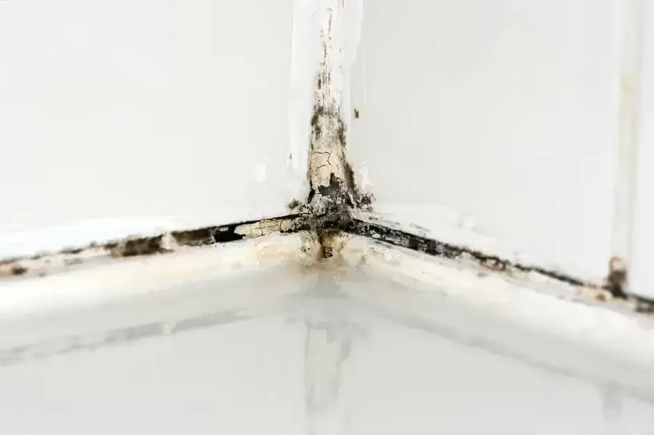 Moldy caulking and mildew buildup in an outdated shower surround, indicating trapped moisture and poor ventilation.