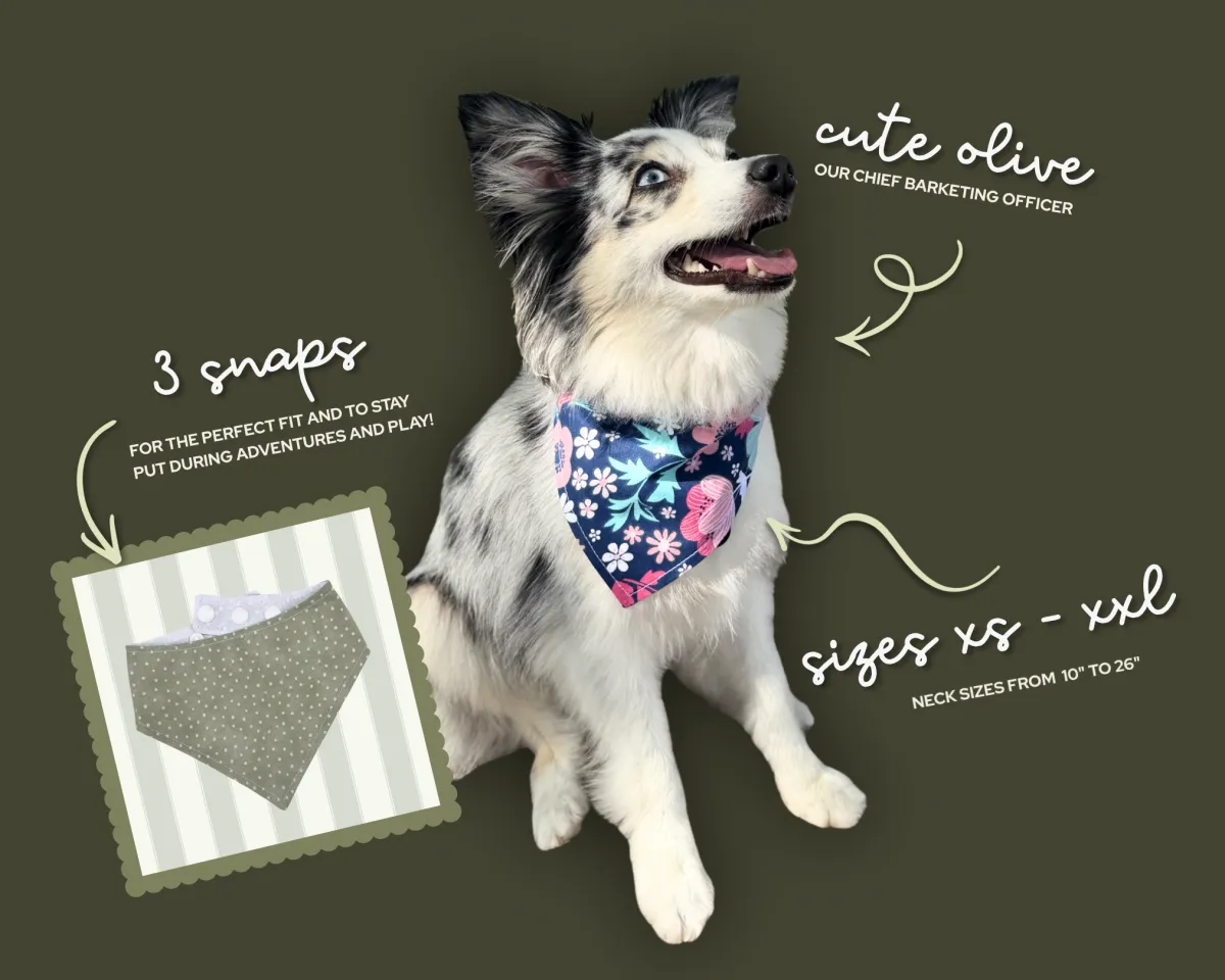 Snap on dog bandana with 3 snaps for adjustable pet bandana. Dog bandanas available in size xs to xxl.