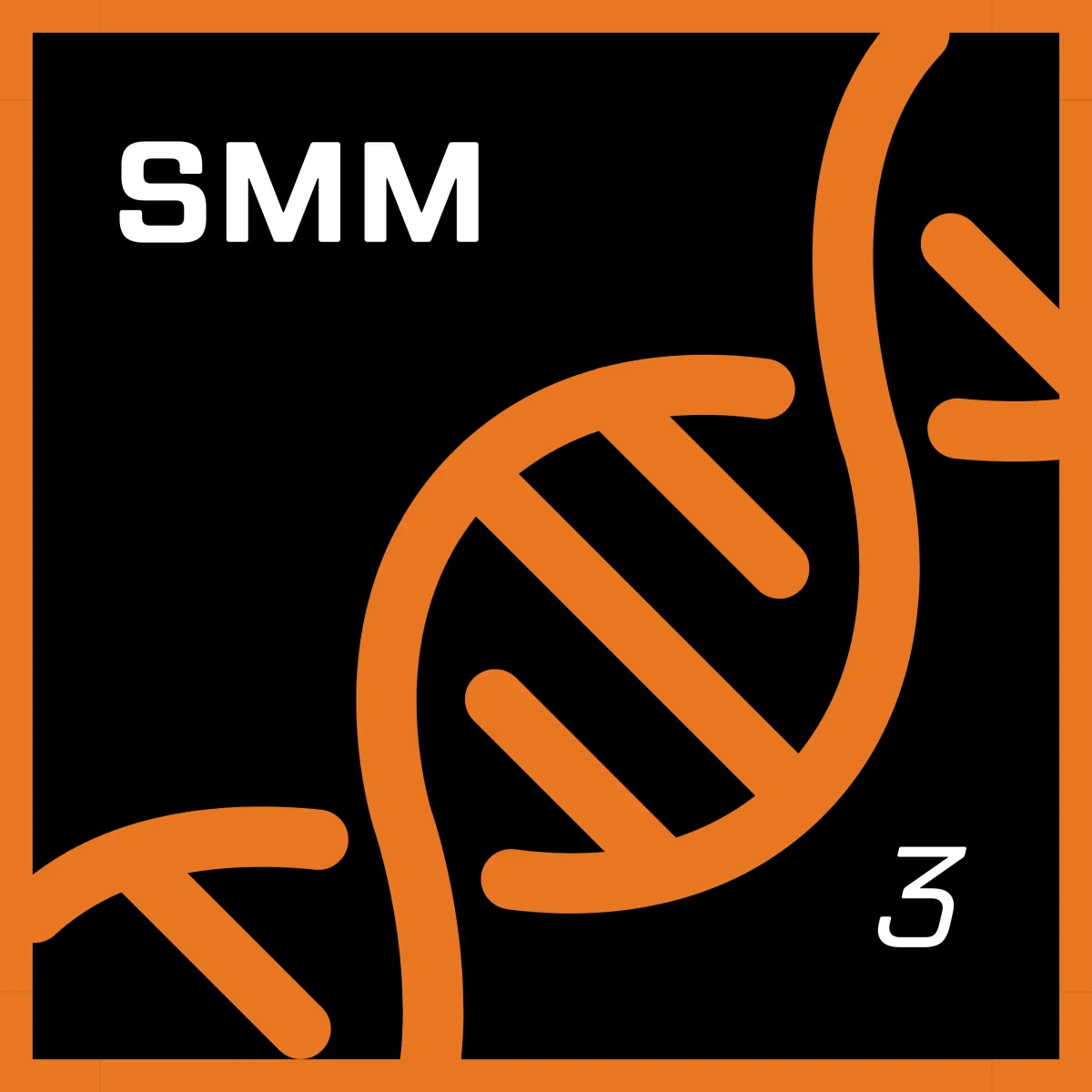 AstroPro Marketing SMM (Social Media Management) logo featuring an orange DNA helix design, 'SMM' in bold white text, and a small '3', set against a black background with an orange border.