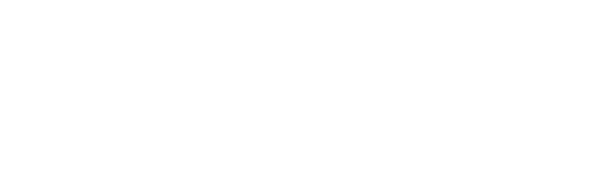 100% BEPROEFD